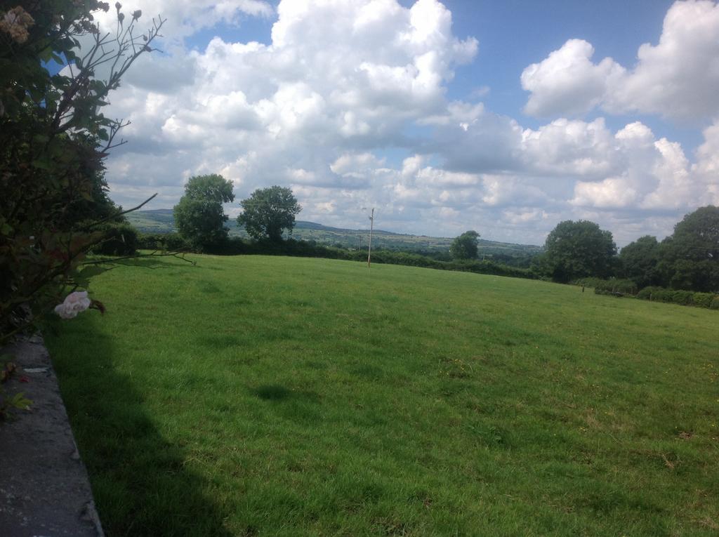 Hill View Buget Silvermines